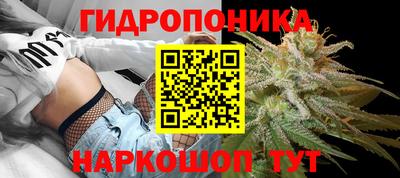 PSILOCYBIN Вязьма