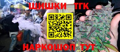 индика Вышний Волочёк