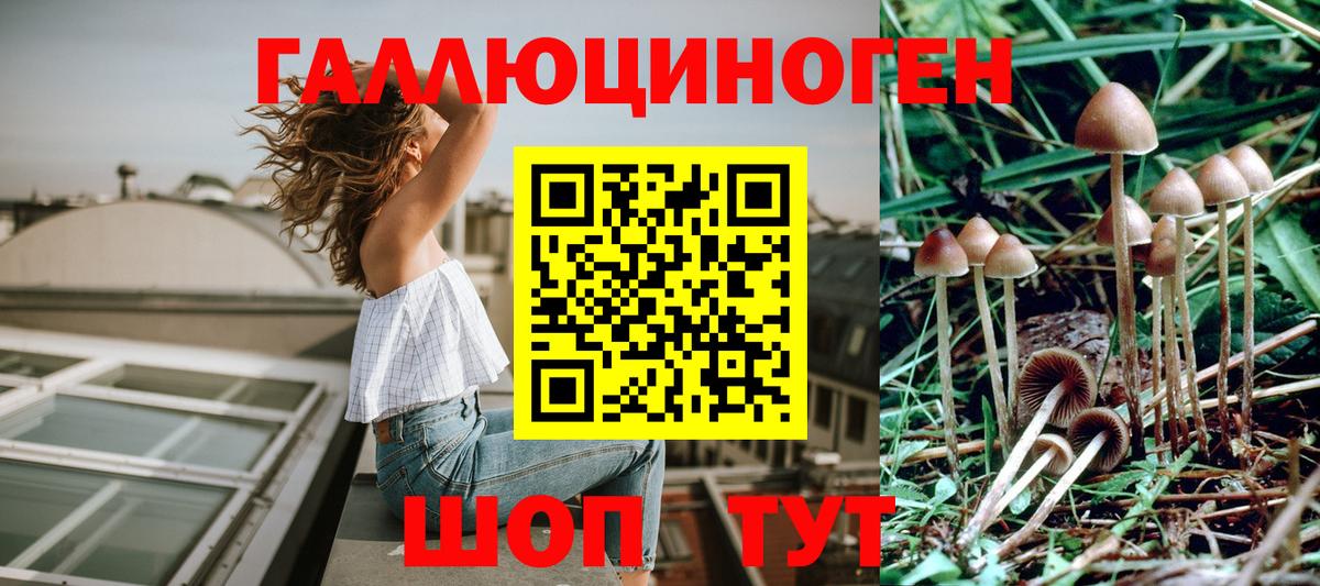 Псилоцибиновые грибы Magic Shrooms Строитель