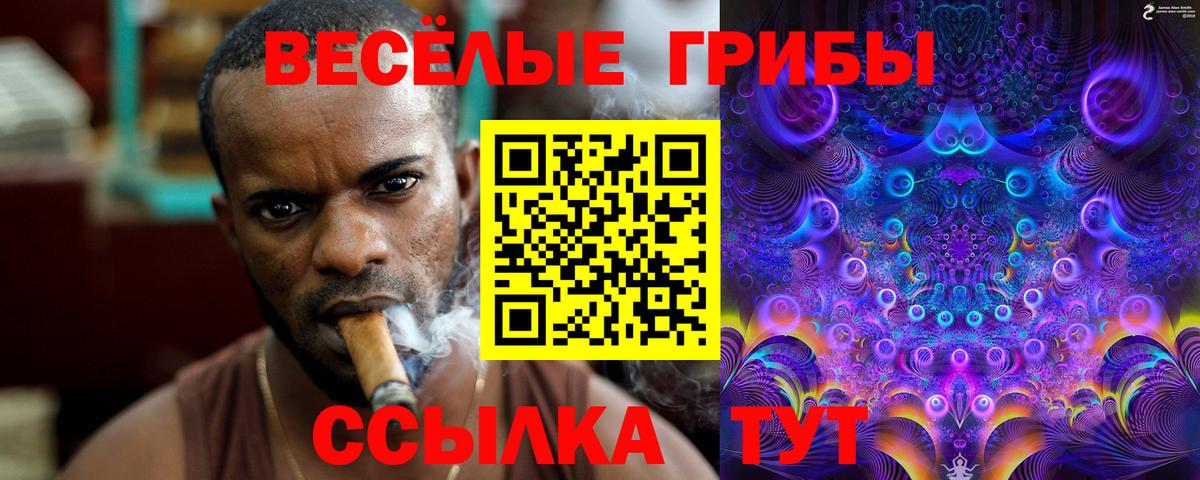 Псилоцибиновые грибы ЛСД  Вход с VPN  Строитель  Галлюциногенные грибы Cubensis 